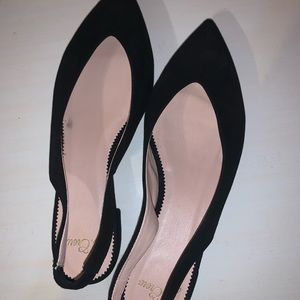 JCrew Pointed slingback flats